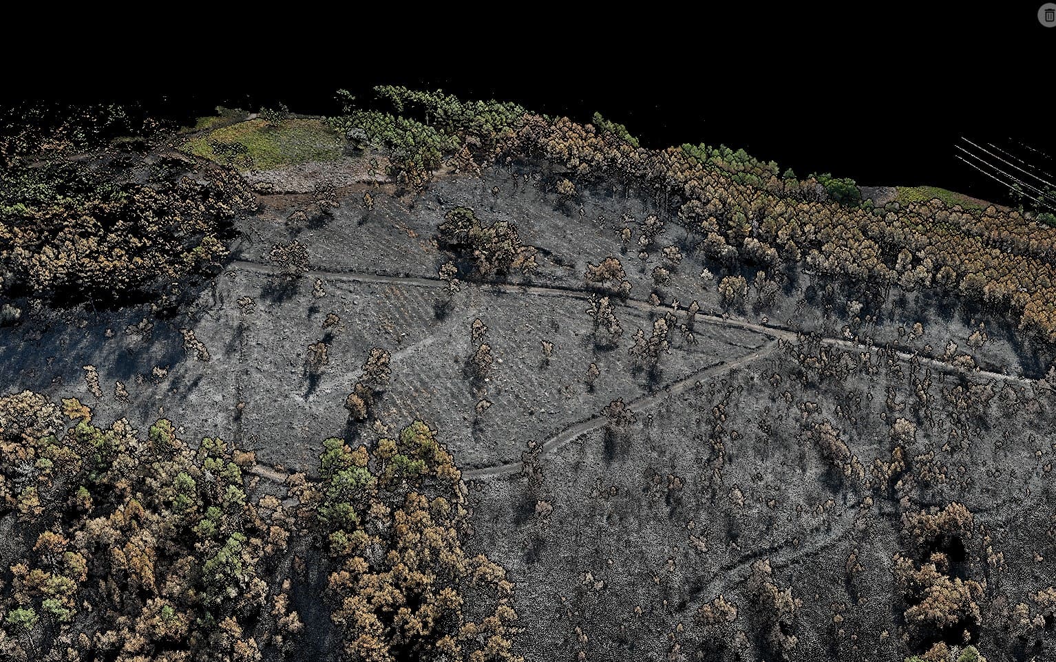 siembra con drones (1)