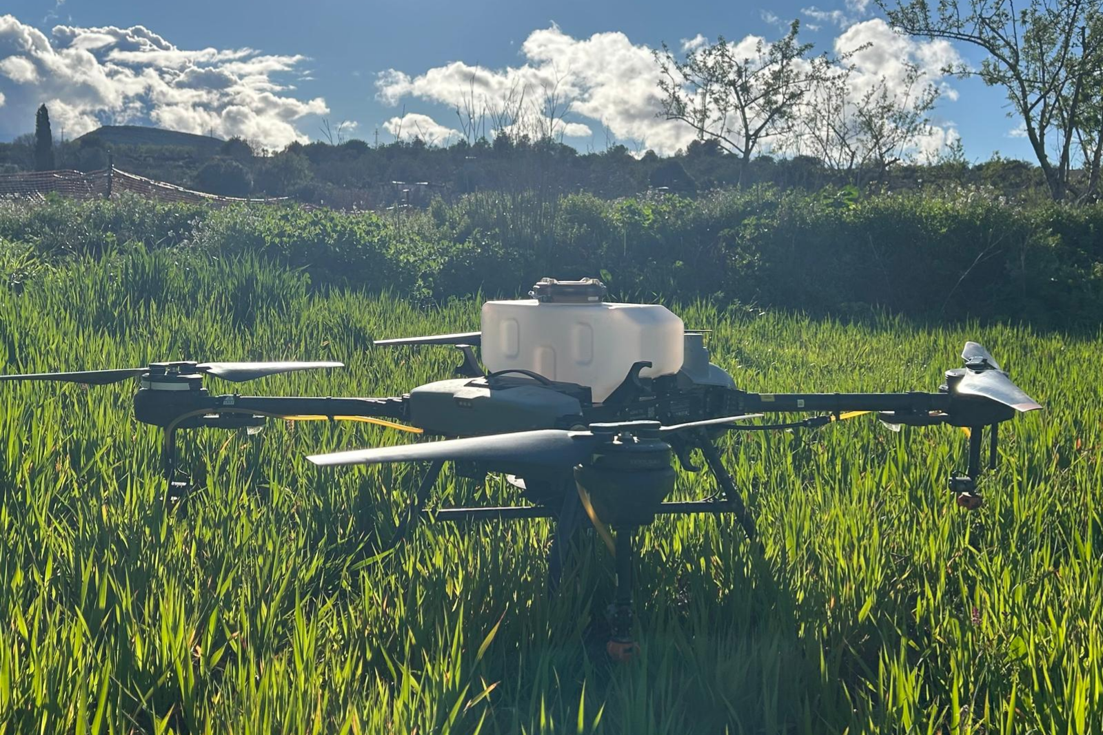 dron agricultura de precisión