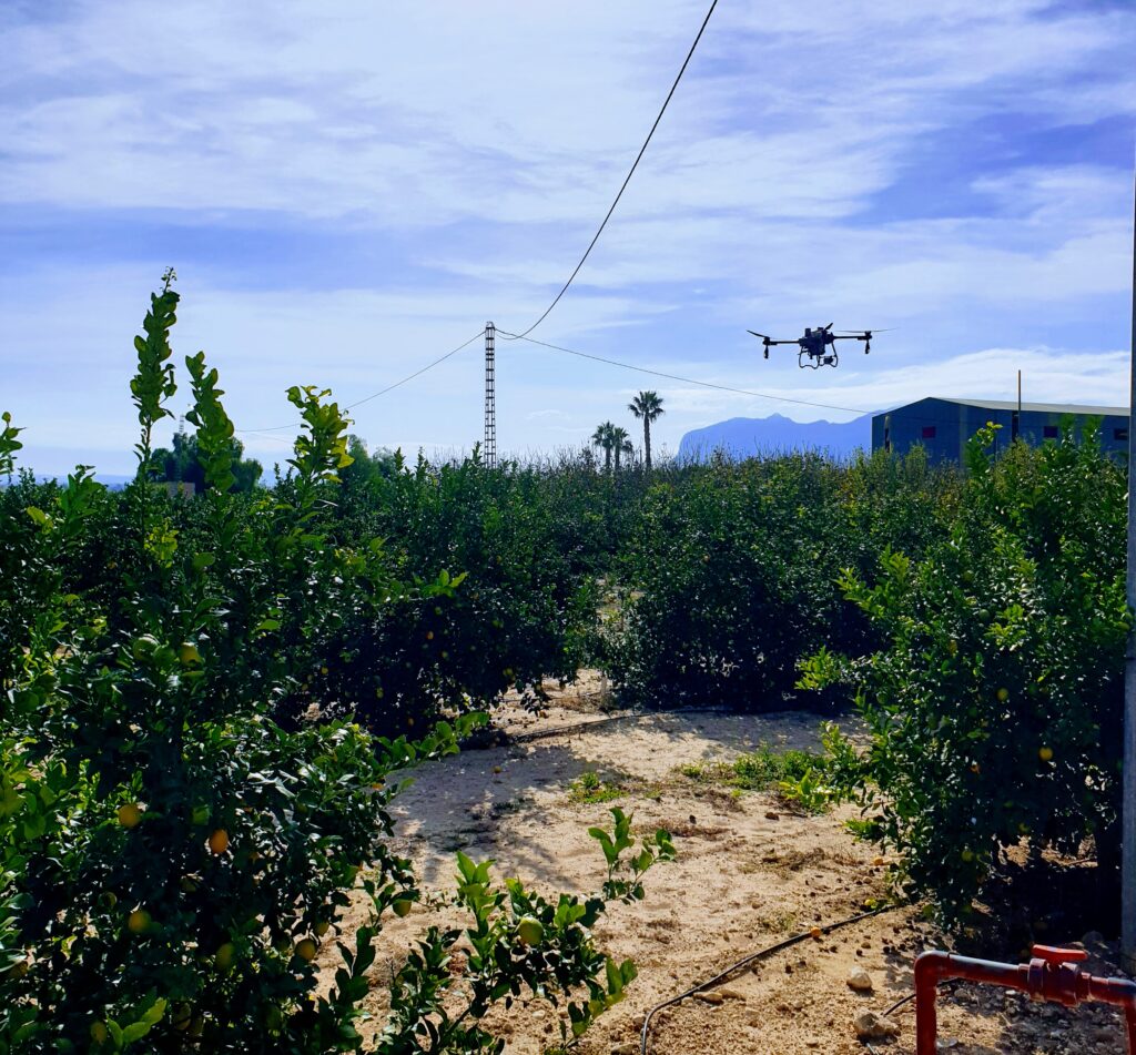 Dron agrícola aplicando tratamiento fitosanitario de precisión en cultivo