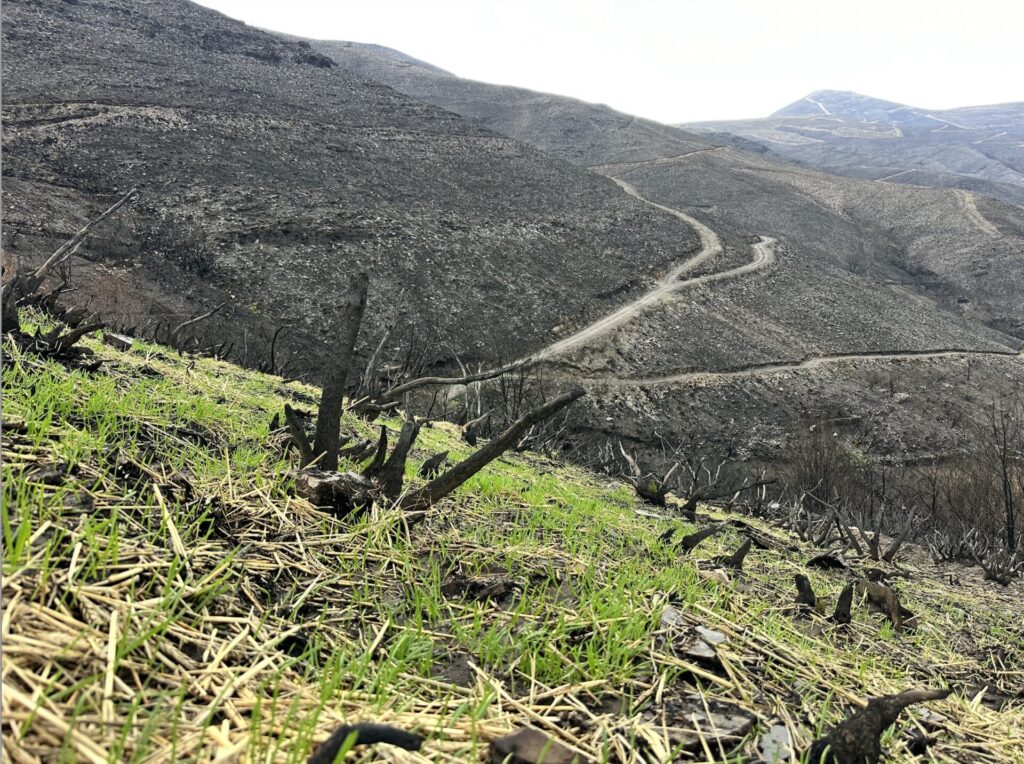 <!-- IMAGEN OPCIONAL --> <!-- Imagen sugerida: