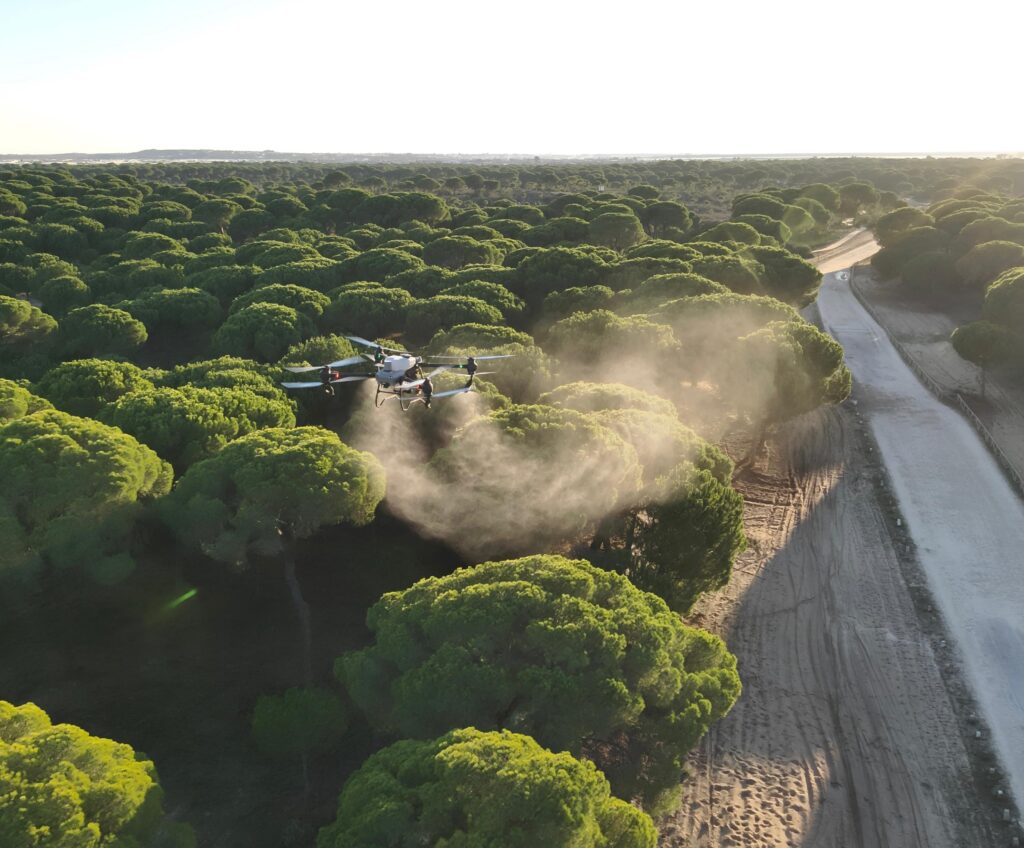 Tratamiento aéreo con drones contra la procesionaria